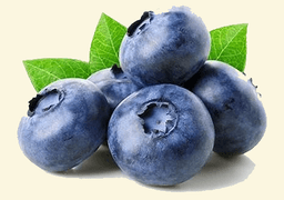 Fabrications Artisanales Ariégeoises 